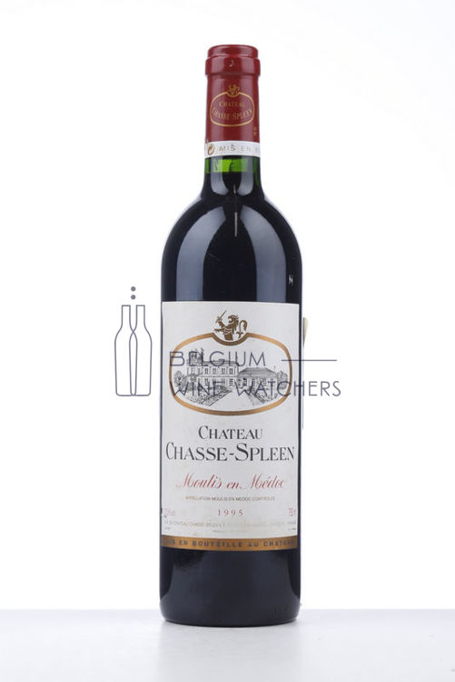 Image de 1995 CHASSE SPLEEN